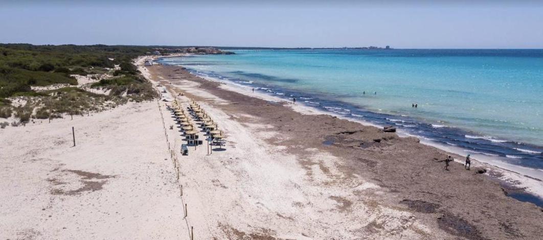 Mallorca Haus Mit Pool Direkt Am Es Trenc, Bootstour Moeglich