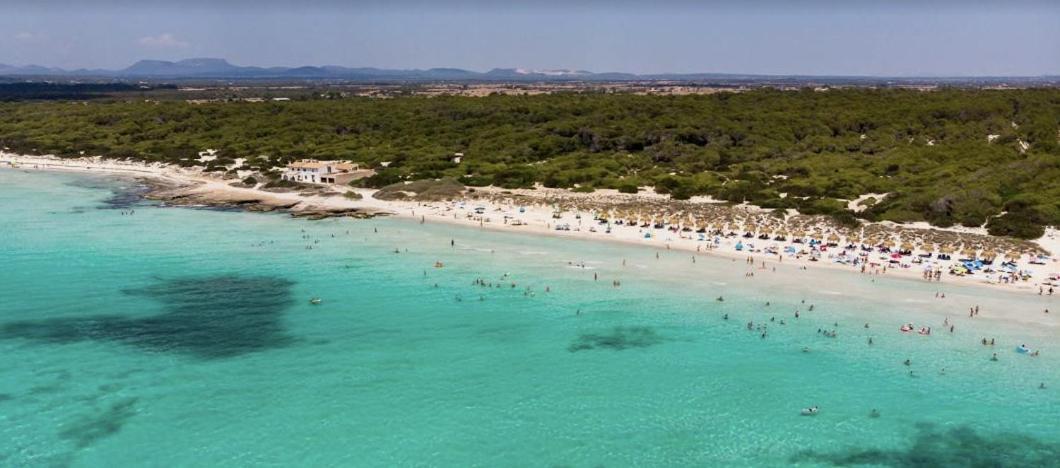 Apartment Mallorca Haus Mit Pool Direkt Am Es Trenc, Bootstour Moeglich