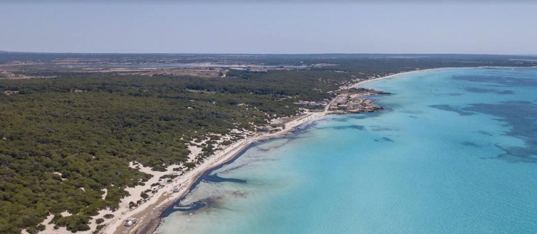 Mallorca Haus Mit Pool Direkt Am Es Trenc, Bootstour Moeglich *